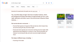 Google generative search