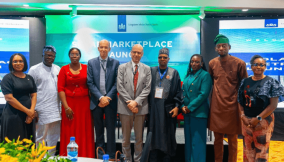 Netherlands, partners launch solar marketplace to support Nigeria’s energy transition