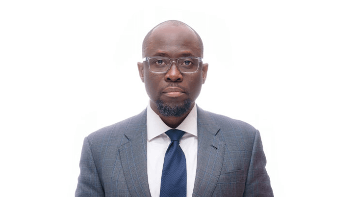 Coronation Group, Access Holdings, others partner to explore remittances