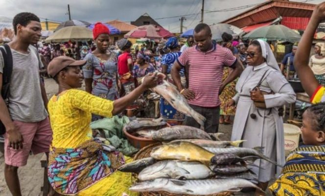 prices-of-fish-in-nigeria-780×470