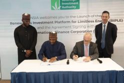 NSIA signs pact renewables investment