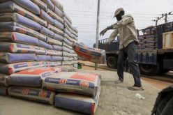 Dangote Cement’s cash pile more than triples, hits N304bn