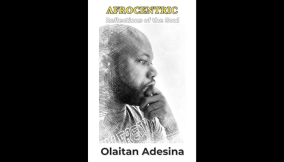 A deep dive into the world of African experiences -A review of Olaitan Adesina’s Afrocentric