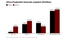 Soaring input cost dents Africa Prudential’s earnings