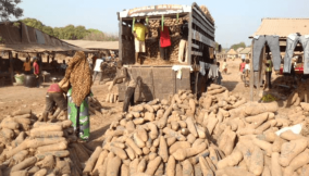 Reps recommend incentives, policy review to boost yam export
