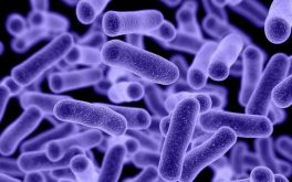 microbes-1080×675