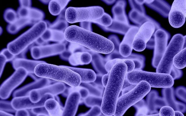 microbes-1080×675