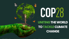 COP 28: Collaboration crucial to tackling the climate emergency