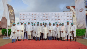 GCR upgrades Johnvents Industries’ national scale ratings to BBB+