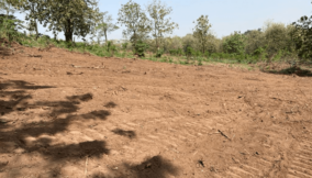 Agodi Gardens: An attempt to sabotage environmental order for political profiteering