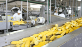 Local food machine production boosts economic growth