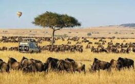 kenya in pictures (1)