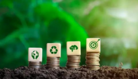 sustainanble growth
