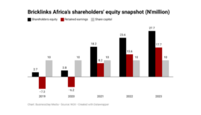 Bricklinks Africa’s shareholder equity rises 17% in one year