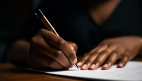 Diary of a former senior government official