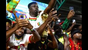 Guinea-fans