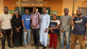 Investing In Impact empowers 655 livestock farmers with N540m