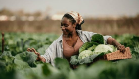 Sexy Agriculture