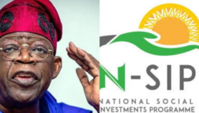 National Social Investment Programmes