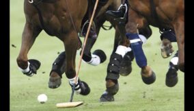 polo-spots