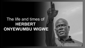 Life & Times of Herbert Wigwe in 68 rare pictures