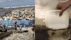 Beyond the Backlash: Why we must stand strong for a plastic-free Nigeria