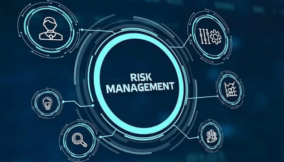 Leveraging Enterprise Risk Management to Enhance Performance and Operational Efficiency in GOEs and GLCs