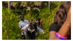 Exploring the Jungle; Taking hospitality to the wild