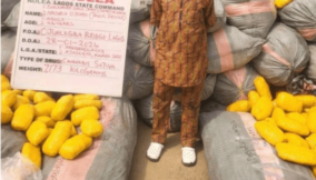NDLEA intercepts 14.5 tons of Indian hemp in Lagos