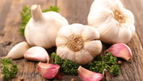 How Nigeria can increase garlic cultivation, tap $3.6bn global market