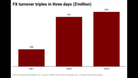 Cardoso’s FX reforms