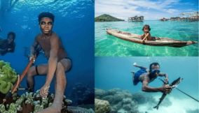 Meet the Bajau tribe, who can survive for several minutes underwater