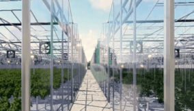 EOUF set to build high-tech indoor farm in Africa