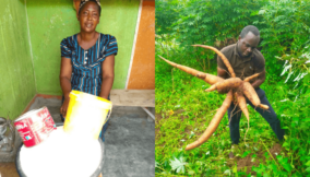 Garri has gone gold: Soaring prices leave Nigerians scrambling for staple food, experts blame gov’t, farmers’ greed