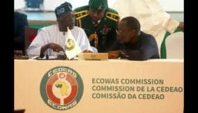 President Tinubu (2)