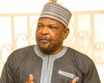 Senator-Ningi