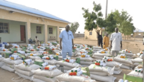Group distributes inputs to 3,000 farmers to enhance food security in Borno