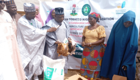 BATNF to empower 300 Bauchi women with poultry project