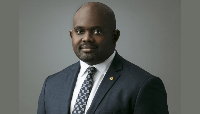 Reducing out-of-pocket expenses in healthcare requires collaboration – Leadway Health CEO