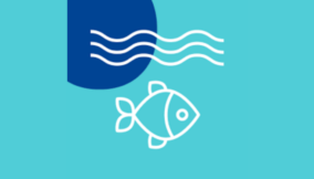 The regulatory framework of the Nigerian blue economy (part 1)