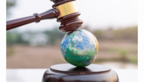 Environmental Laws and Sustainable Practices: Legal Responsibilities for Businesses