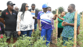 NDDC moves to empower young farmers for food security, job creation