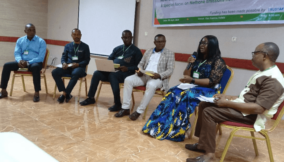 Nigeria targets fallouts from $460bn savings in 45% methane emission reduction