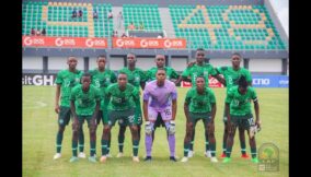 Golden Eaglets (1)