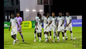 Golden-Eaglets
