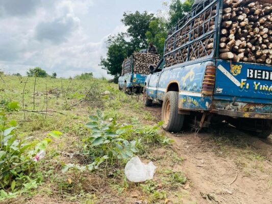 Nigeria targets cassava as industrial growth engine