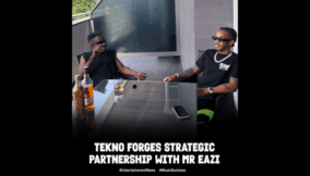 Tekno forges strategic partnership with mr Eazi’s empawa