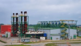 Wärtsilä signs 10-year deal to service Mangal Industries 50MW power plant
