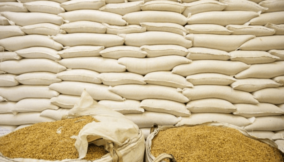 FG distributes 44,656 bags of grains to vulnerable residents of FCT