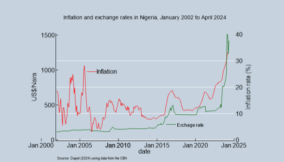 A disempowered currency in flames: the fall of the Nigerian naira and the bruising effects.